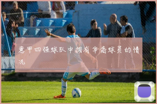意甲四强球队中拥有华裔球员的情况