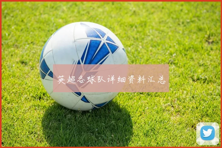英超各球队详细资料汇总